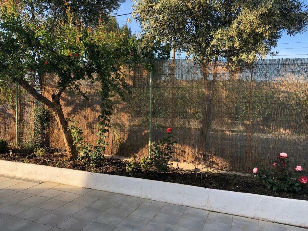 Vila Casa Rural En La Costa Del Sol Cártama Exteriér fotografie